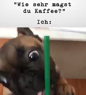 Wie sehr magst du Kaffee ? Ich :