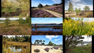 De Maasduinen - Limburg Nederland