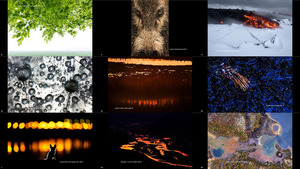 GDT Nature Photographer of the Year 2020 Winners