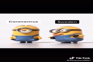 Corona und Schweden