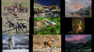 2020 ONYX International Exhibitions of Photography Romania