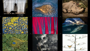 BigPicture Natural World Photography Competition 2020