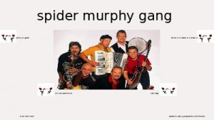 spider murphy gang 006
