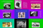 Katzen-Ansichten.pps auf www.funpot.net