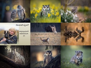 Tanja Brandt - Photographe animalire 01 - Fotograf Tier 01