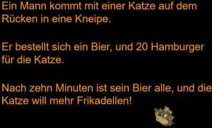 mann mit katze in kneipe