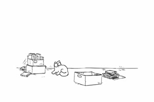 Simons Cat und der Karton