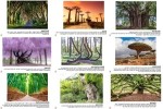 Die-spektakulärsten-Bäume-der-Welt.pps auf www.funpot.net
