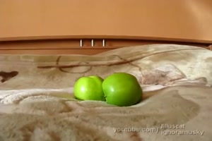Was sind das fr grne runde Dinger auf dem Bett?