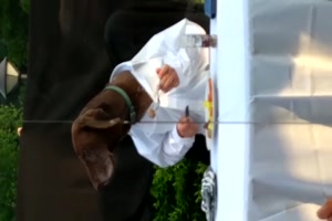 Biergartenöffnung,-auch-Hunde-freuen-sich.mp4 auf www.funpot.net