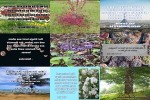 . auf www.funpot.net