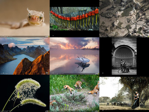 nationalgeographicphotocontest20133