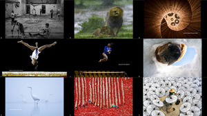 klicke hier, um die Datei herunterzuladen Photo of Day from Siena International Photography Awards 202