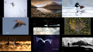 The Winners of Nordic Nature Photo Contest 2020