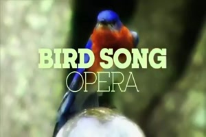 Bird Song Opera