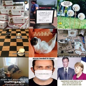 . auf www.funpot.net