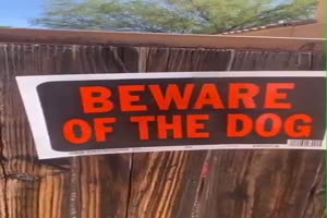 Vorsicht vor dem Hund
