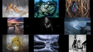 Some of the Best Photographers 2017