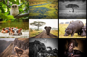 africageographic-photographeroftheyear2016featuredentries-16