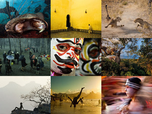 photoofthedayfromnationalgeographic-130316122610-phpapp02