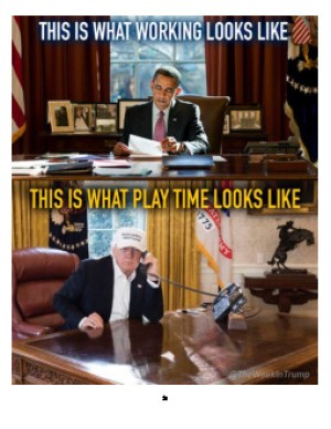 19 Monate von Trump. Bildergalery