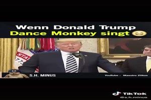 Wenn Donald Trump Fände Monkey singt