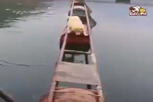 Tiere-beim-Klettern-und-abhauen.mp4 auf www.funpot.net