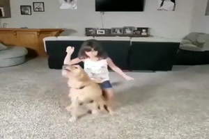 Training mit dem Hund