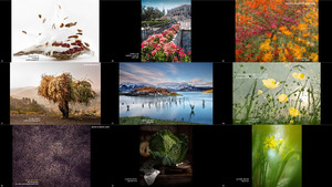 internationalgardenphotographeroftheyear2017-winners-1702110