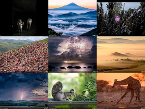 klicke hier, um die Datei herunterzuladen nationalgeographicphotocontest20144-141027185636-conversion-