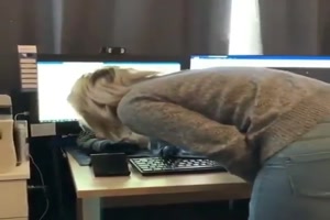 Katze schläft am PC