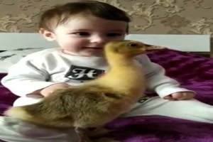 Baby-streichelt-Baby.mp4 auf www.funpot.net