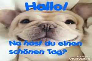 Hallo! Na hast du einen schnen Tag?