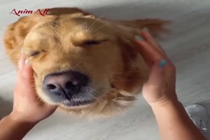 Tiere-sind-lustig.mp4 auf www.funpot.net