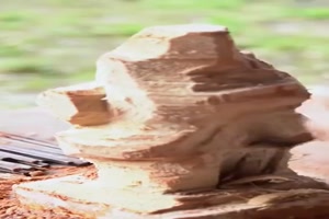 Was-für-ein-genialer-Holzkünstler.mp4 auf www.funpot.net