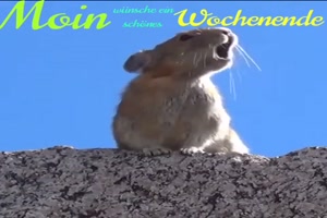 Schönes Wochenende
