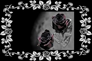 Doro Pesch-Black Rose