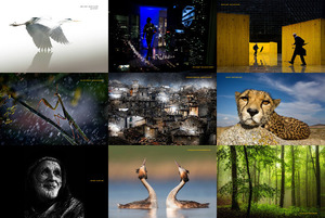 finalists from siena internationalphotography awards
