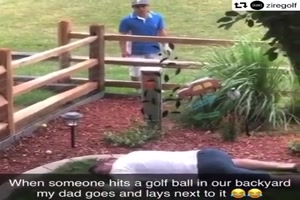 Golfspieler veräppelt