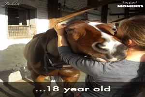 Mit Pferden aufgewachsen