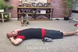 Erste Hilfe Hund