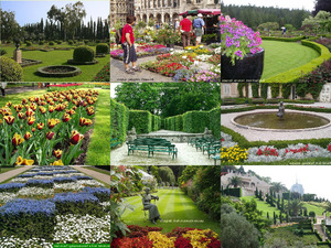 amazing-gardens