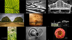 Winners of the International Garden Photographer of the Year