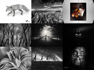 NOIR - The best of black and white photography 01 -