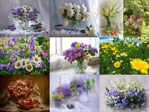 Photos of flowers