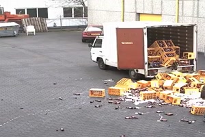 Pleiten,-Pech-und-Pannen.mp4 auf www.funpot.net