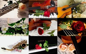 Instruments & Flowers - Instrumente & Blumen