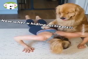 Hund-überwacht-das-Training.mp4 auf www.funpot.net