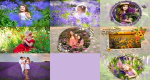 Lavendar and Summer fields - Lavendel und Sommerfelder