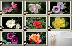 Les plus belles fleurs - Die schnsten Blumen